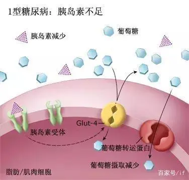 世界杯医生滑倒_世界杯医生滑倒_世界杯医生滑倒